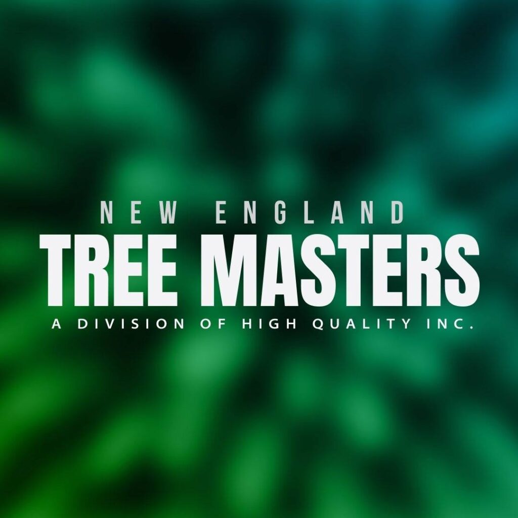 New England Tree Masters